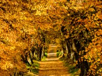 2013.10.26_105803_Herbst Rundfahrt Landsberg.jpg